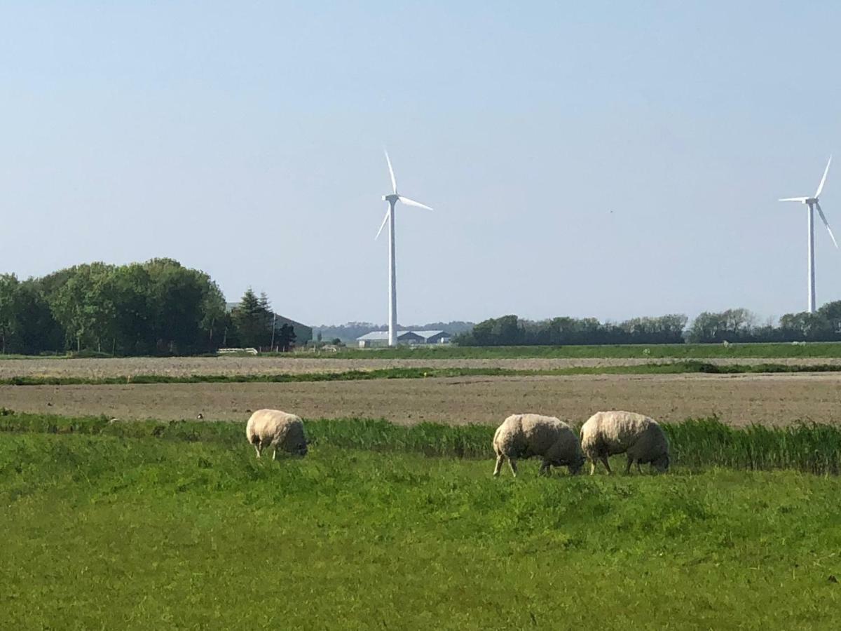 Burgerbrug Vogelvrij 빌라 외부 사진
